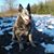 Sarah Gilles Leibrant's profile image