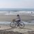 Andrea Ponsetto's profile image