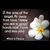 Anita Lopez's profile image
