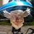 Randy Miller's profile image