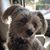 Lucy Lou Vaughn's profile image