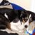 Mags Moulsdale's profile image