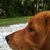 Pam Favenesi's profile image