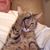 Christopher Gorland's profile image