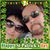 Brenda Loranger Reid's profile image