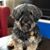 Julie Pahr's profile image
