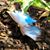 Jennifer Wayte-Hussain's profile image