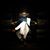Bhavesh Wadhwani's profile image