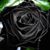 Gordy Hordy's profile image