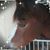 Connie Edwards's profile image