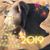 Nancy L. Simon's profile image