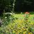 Rosalind Popov's profile image