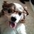 Steve Koonce's profile image
