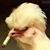 Bob Craig's profile image