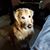 Sandra VanderWolde-Rivera's profile image