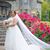 Savannah Hollie Glenn's profile image