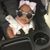 Chandra Echols Brown Kimmons's profile image