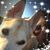 Geralyn Rogers's profile image
