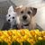 Kelly Ellis's profile image