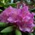 Kate Whitty's profile image