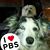 Sandy Boehler's profile image
