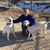 Ginny Sullivan's profile image