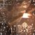 Palma M Schloer's profile image