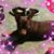 Barbara Helle's profile image