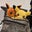 Beth FitzGibbon's profile image
