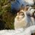 Agnes Weaver's profile image