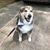 Vicki Tate's profile image