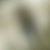 Tony Anderson Lynn's profile image
