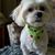 Karen Tedford's profile image