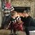 Sally Pike's profile image