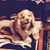 Lorna A Mahaffey's profile image