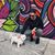 Andrew Steven's profile image