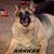 Vicky Zinzer Spence's profile image
