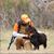 Sarah Nell Blackwell's profile image