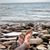 Mark Copthorne's profile image