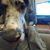 Kevin Barg's profile image
