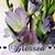 Barbara Ray Young's profile image