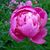 Laura Jackson's profile image