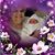 Jackie Scherer's profile image