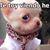 Angie Saldana's profile image