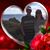 Karen Lott's profile image