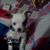 Davin Scott's profile image