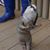 Jennifer Thomas Bogart's profile image