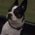 Darlene Seehaver's profile image