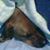 April Edwards's profile image