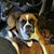 Sue Martinez's profile image
